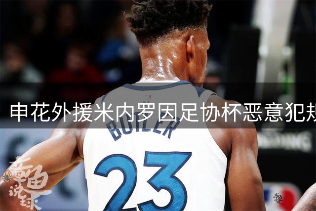 申花外援米内罗因足协杯恶意犯规被禁赛3场